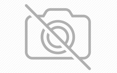 Geleneksel Türk Okçuluğu